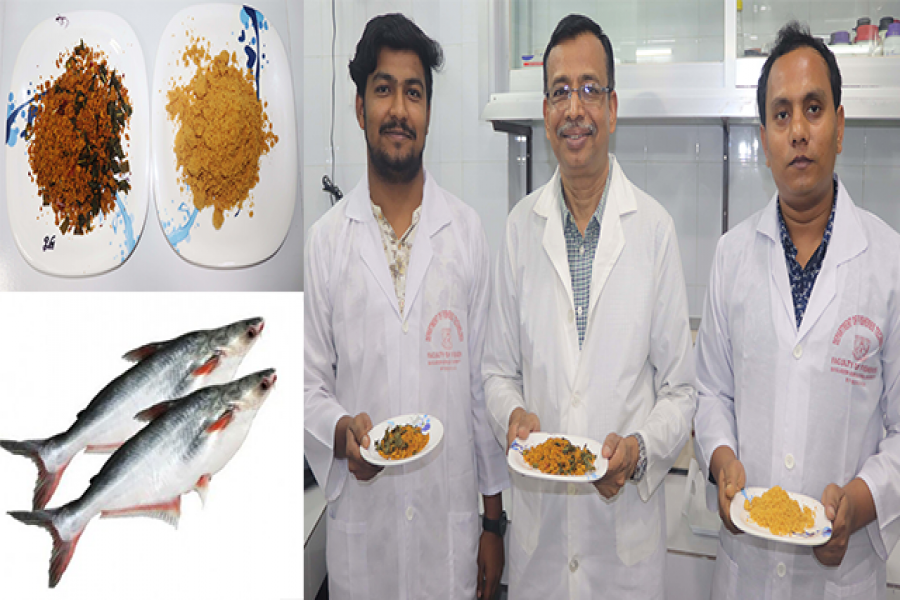 পাংগাসের আচার ও পাউডার উদ্ভাবন বাকৃবি গবেষকদের