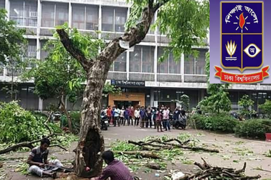 জারুল গাছটিও চলে গেল: মন খারাপ ঢাবি শিক্ষার্থীদের