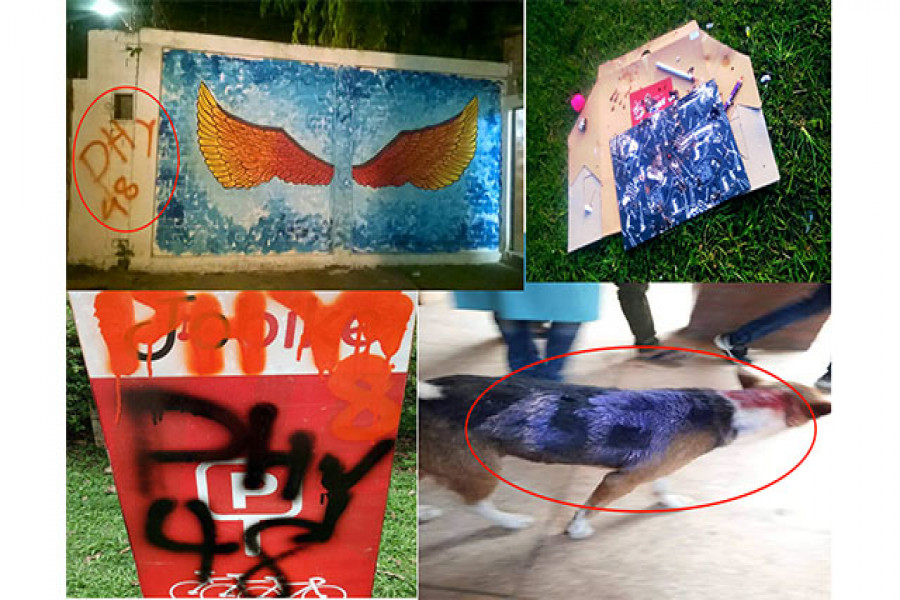 জাবিতে নির্দেশনা অমান্য করে ‘ব্যাচ ডে’ পালন, নিন্দার ঝড়