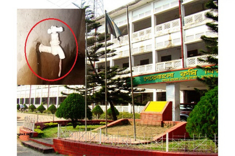 শেরেবাংলা কৃষি বিশ্ববিদ্যালয়