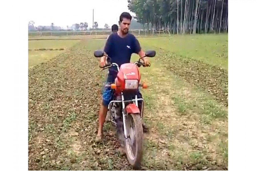 জমি চাষ করছেন মোহাম্মদ বিল্লাল মোল্লা