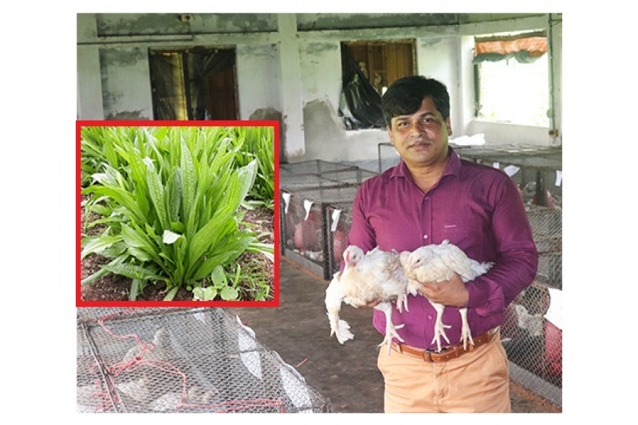 পশুপুষ্টি বিভাগের গবেষক অধ্যাপক ড. মোহাম্মদ আল-মামুন