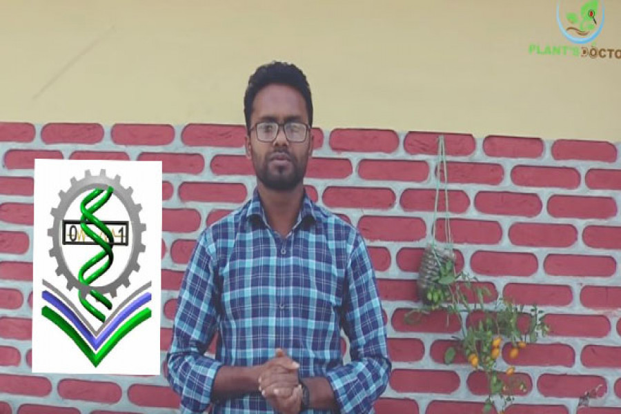 রোগাক্রান্ত গাছের চিকিৎসায় ‘গাছ ডাক্তার’