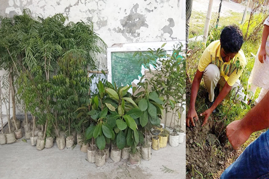 ক্যাম্পাসে বৃক্ষরোপন অভিযানে সংগঠনটির নেতৃবৃন্দ