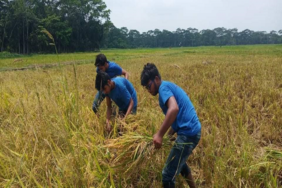 শনিবারের ছবি
