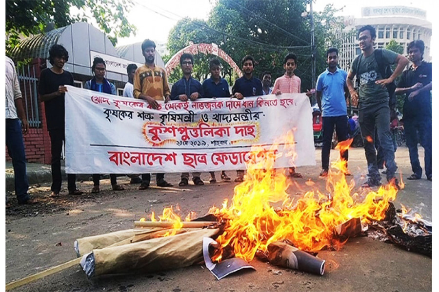 কৃষি ও খাদ্যমন্ত্রী কৃষকের শত্রু, দুই মন্ত্রীর কুশপুত্তলিকা দাহ