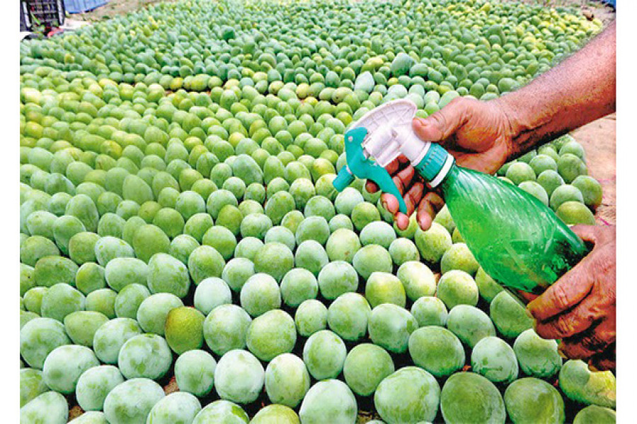 কার্বাইড দিয়ে পাকানো ফল কেনা থেকে সাবধান থাকুন