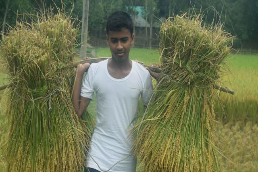 জিপিএ-৫ পেয়েও দরিদ্রতার কাছে হেরে যাবে মারুফ!