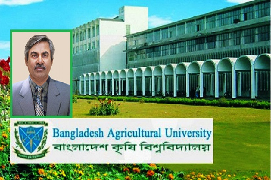 অধ্যাপক ড. লুৎফুল হাসান