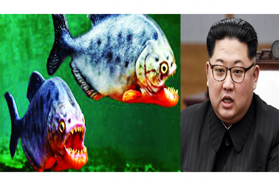 কিমের গদিচ্যুতের ষড়যন্ত্রে মাছের খাবার হলেন জেনারেল