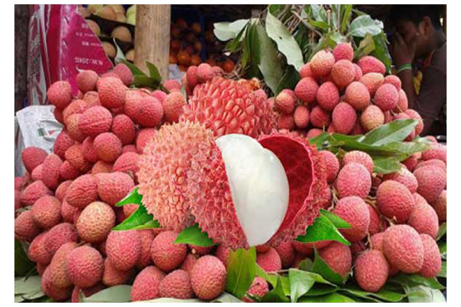 লিচু খেয়ে ৫৩ শিশুর মৃত্যু, কিন্তু কেন?