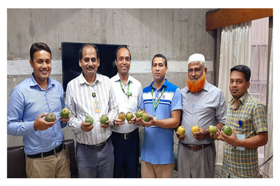 সংসদে প্রধানমন্ত্রীর আম উপহার