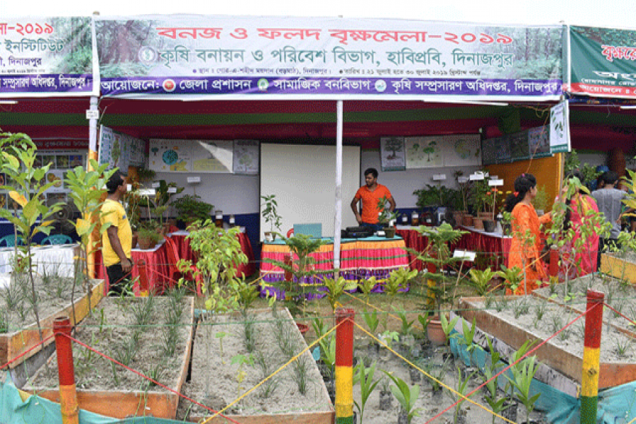 দিনাজপুরে বৃক্ষমেলায় হাবিপ্রবি’র ব্যতিক্রমী প্রদর্শনী