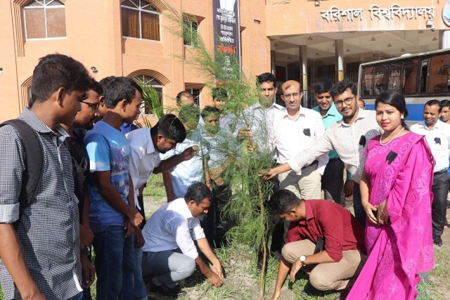 ববিতে নরসিংদী জেলা অ্যাসোসিয়েশনের বৃক্ষরোপণ