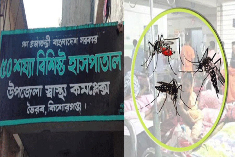 ডেঙ্গুতে এবার প্রাণ হারাল  প্রাথমিকের শিক্ষার্থী