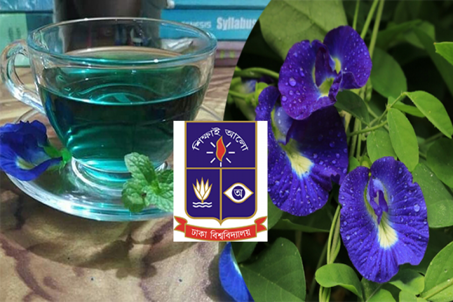 এবার ঢাবিতে এলো আলোড়ন সৃষ্টিকারী অপরাজিতা