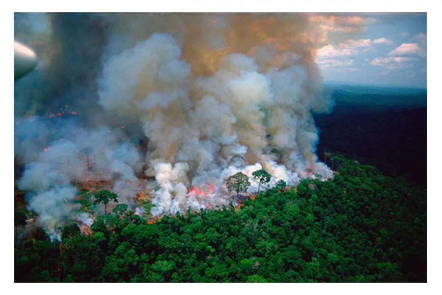 ‘পৃথিবীর ফুসফুস’ আগুনে পুড়ে যাচ্ছে