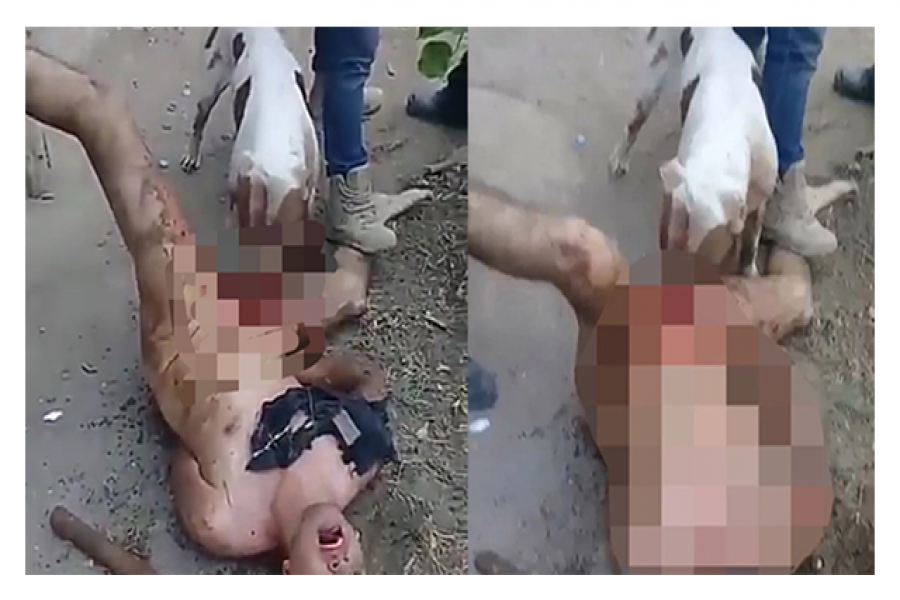 কুকুরকে দিয়ে খাওয়ানো হলো ধর্ষকের পুরুষাঙ্গ