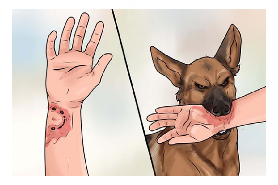 প্রতীকি ছবি