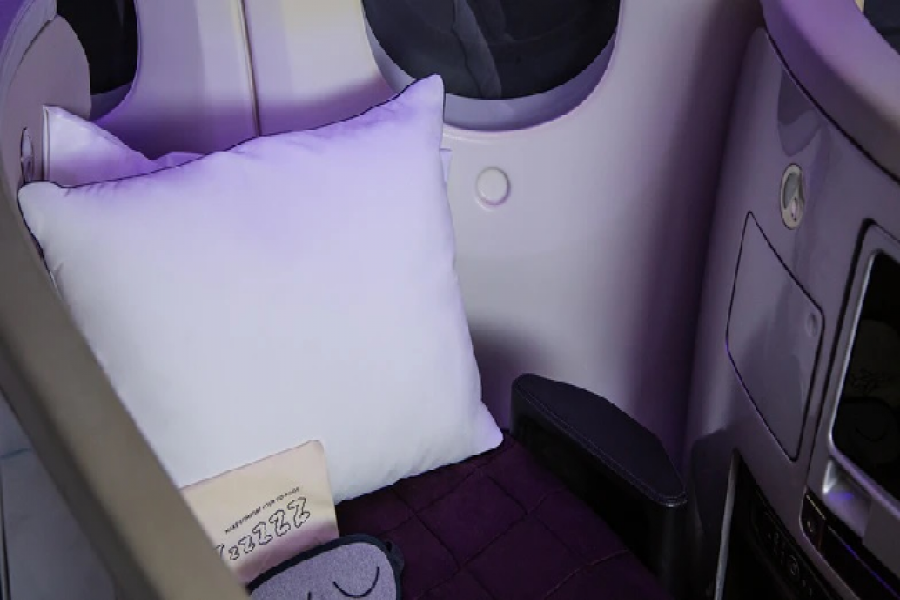 প্রযুক্তিতে তৈরি বালিশ ব্যবহার করছে এয়ারলাইন্স, কভারসহ দাম ১০ হাজার টাকা
