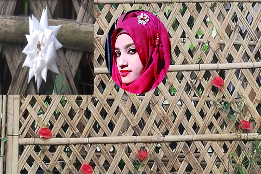 নুসরাতের কবরের লাল-সাদা গোলাপের ছবি ফেসবুকে ভাইরাল