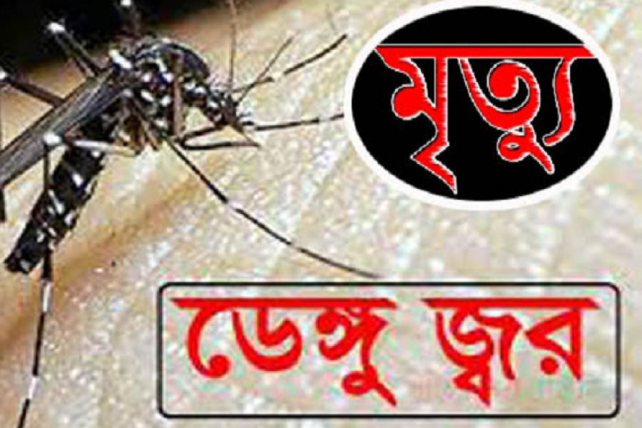 ডেঙ্গুতে ১২ ঘণ্টার ব্যবধানে আপন দুই ভাইয়ের মৃত্যু