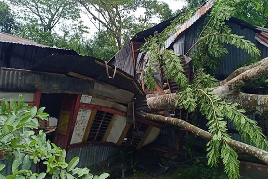 ঘূর্ণিঝড় বুলবুলের তাণ্ডব