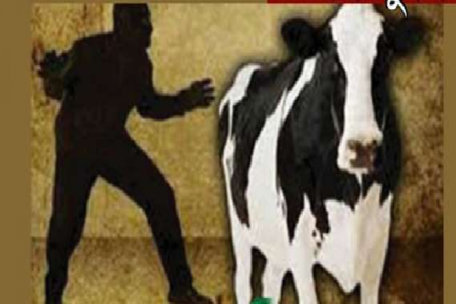 পিকআপভ্যানে গরু তোলায় ভারতে ২ জনকে পিটিয়ে হত্যা