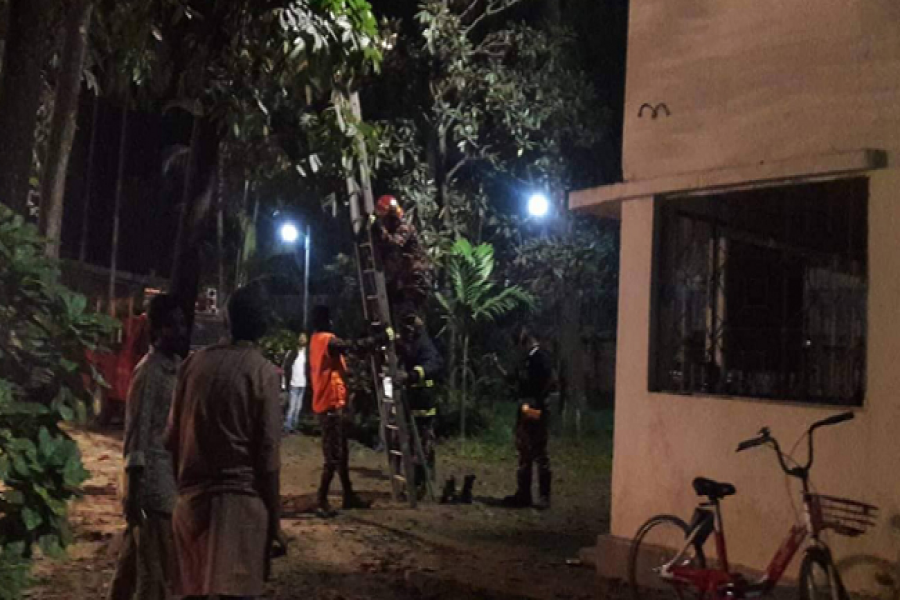 চারুকলায় বিড়াল উদ্ধারে ফায়ার সার্ভিস!