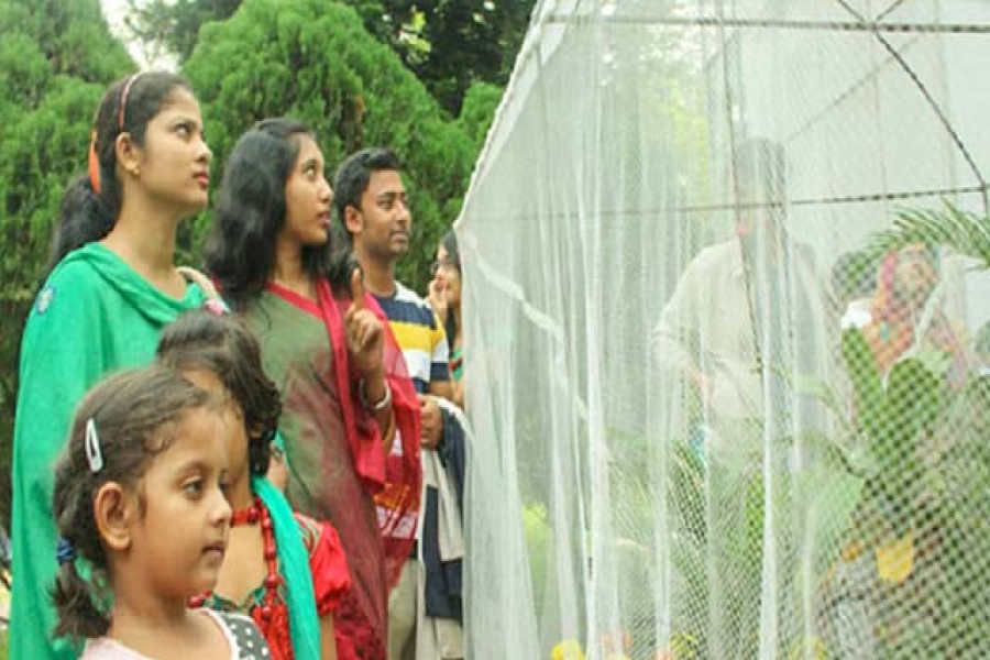 প্রজাপতি মেলায় দর্শনার্থীরা