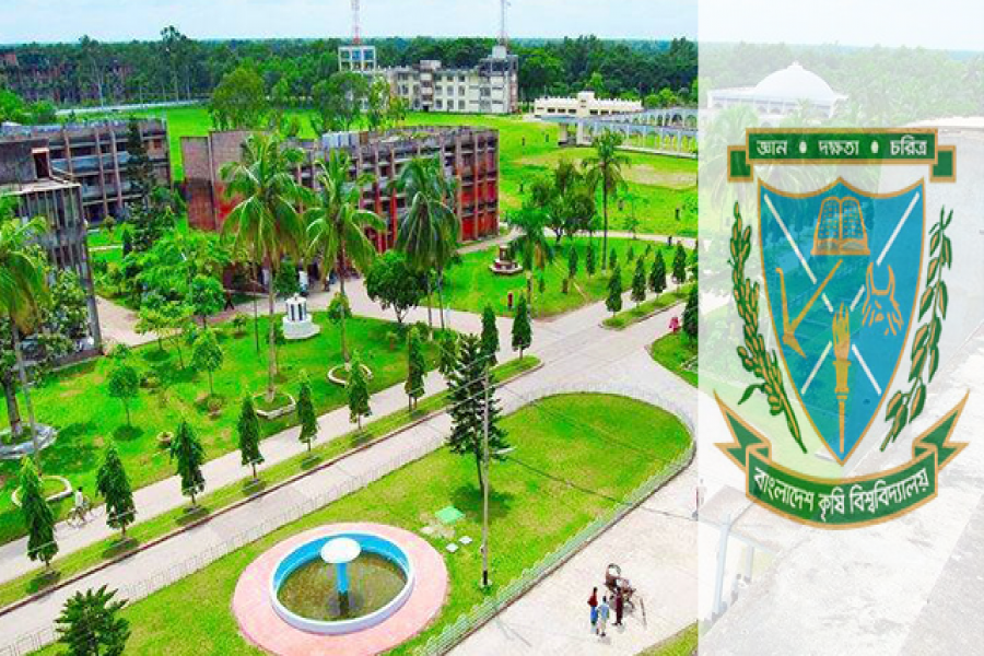 ডিজিটাল ভোট বর্জন আ.লীগপন্থী শিক্ষকদের একাংশের