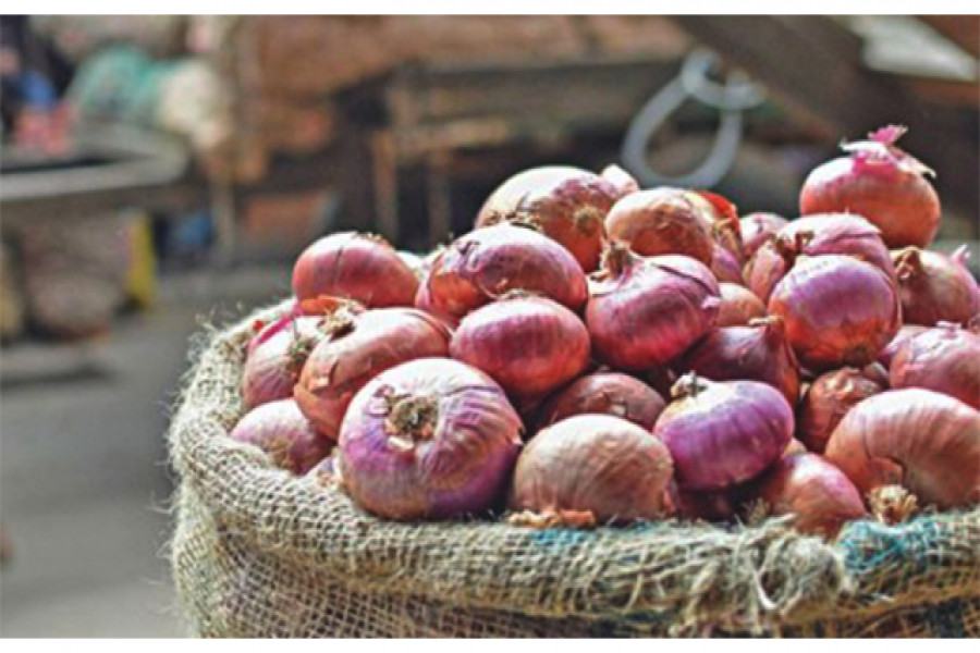ভারতে পেঁয়াজ রফতানি বন্ধ তুরস্কের, ফের দাম বাড়ার আশঙ্কা