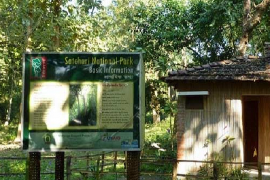 সাতছড়ি জাতীয় উদ্যানে কলেজছাত্রীকে গণধর্ষণ