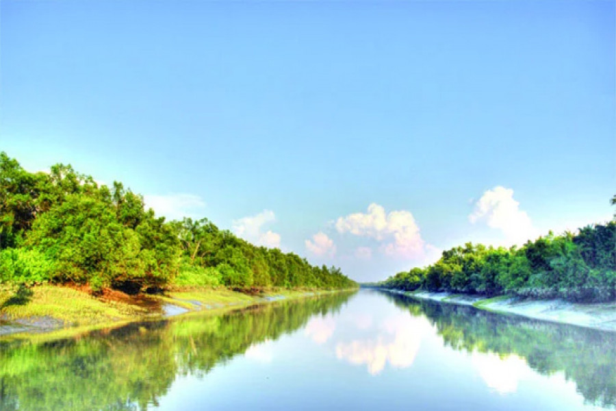 টেলিযোগাযোগের আওতায় আসছে সুন্দরবন