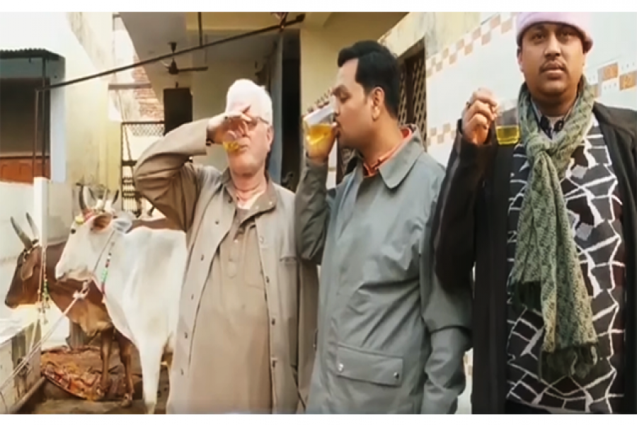 করোনা: টি পার্টির আদলে গোমূত্র পার্টির আয়োজন ভারতে