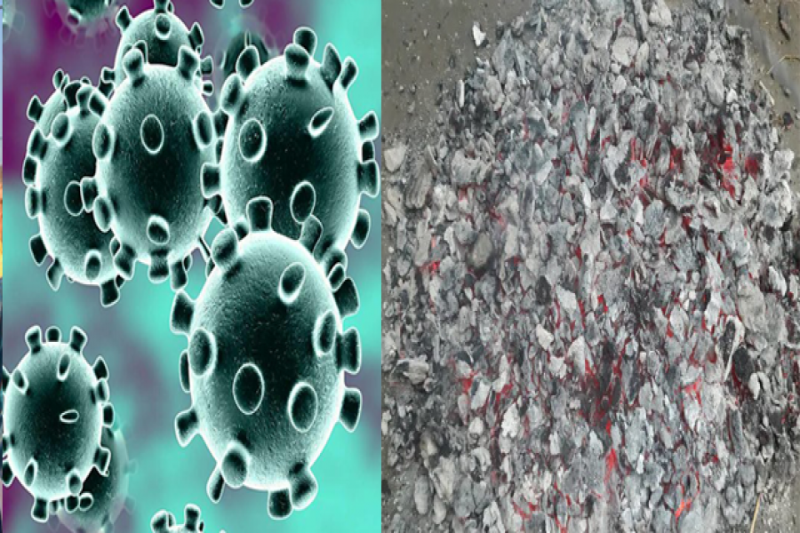 করোনাভাইরাস থেকে বাঁচতে ভারতে এবার ঘুঁটে থেরাপি!