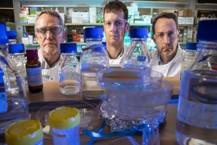 ভ্যাকসিন তৈরি, এবার নির্মূল হবে করোনা!