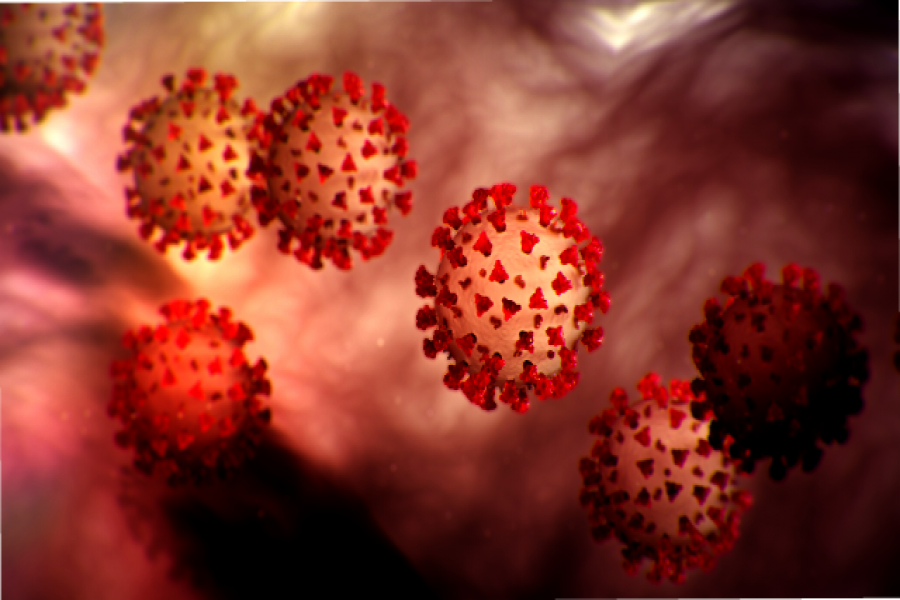 শিক্ষার্থীদের ১ মাসের বেতন অসহায়দের দেওয়ার নির্দেশ অধ্যক্ষের