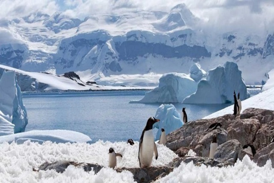 যে মহাদেশে এখনো প্রবেশ করেনি করোনাভাইরাস