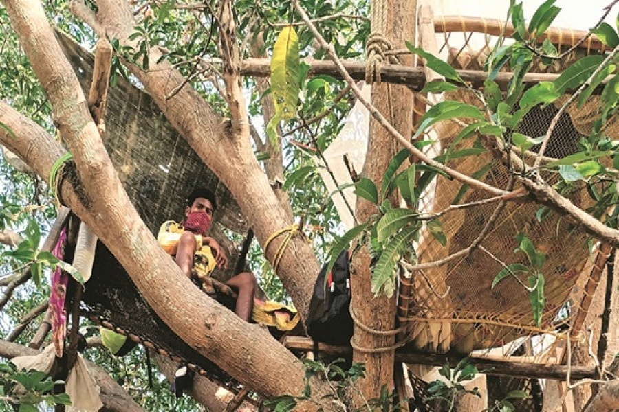 আম গাছের ডালে কোয়ারেন্টিনে ৭ যুবক