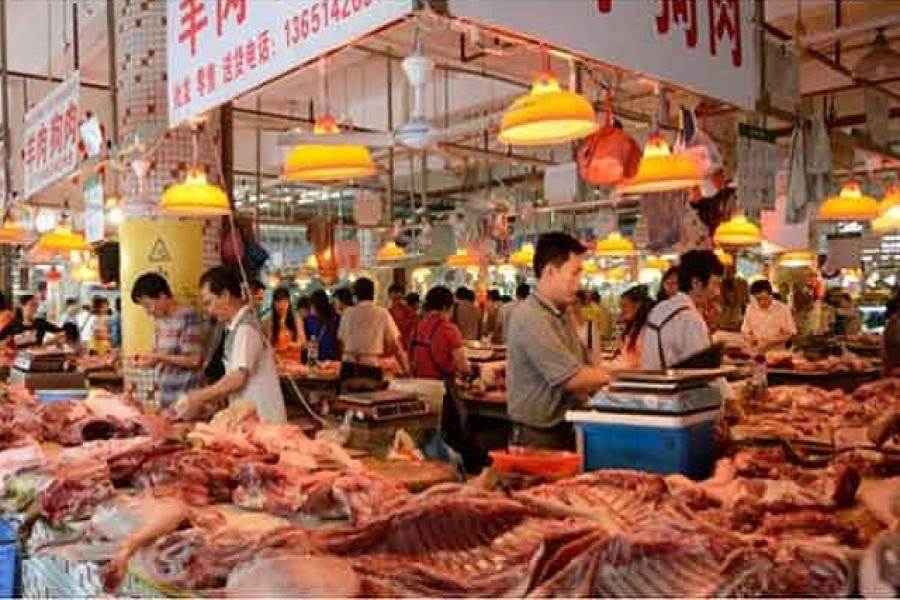 চীনের শেনজেনে কুকুর-বিড়াল খাওয়া নিষিদ্ধ