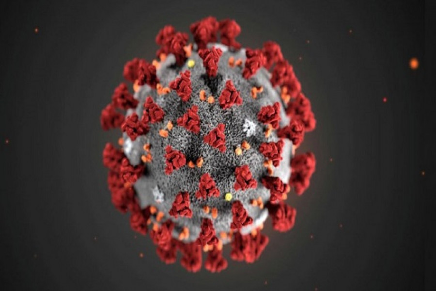 লকডাউন ভেঙে রাস্তায়, গুলিতে নিহত তরুণ