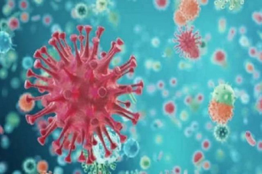 সুস্থ হয়ে ফিরেও ফের করোনায় আক্রান্ত শিবচরের ৩ জন