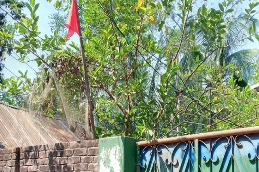 ঢাকা থেকে ফিরে করোনায় আক্রান্ত চিকিৎসক, এলাকা লকডাউন