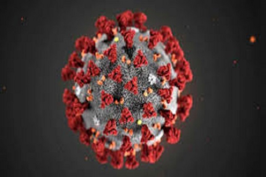 যে ১৫ টি দেশে করোনা এখনো আঘাত হানেনি  