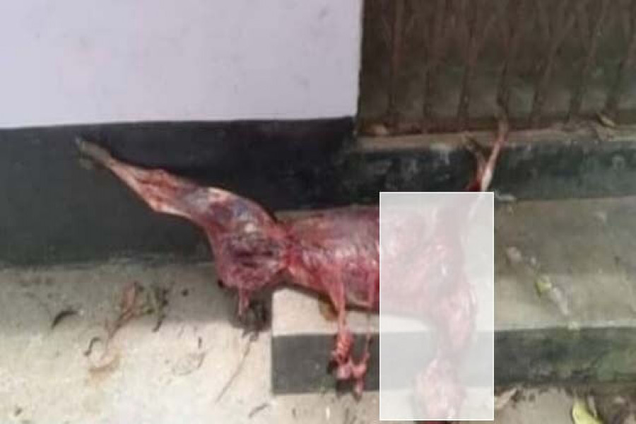 সীতাকুণ্ডে বীট কর্মকর্তার কক্ষ থেকে জবাইকৃত হরিণ উদ্ধার 