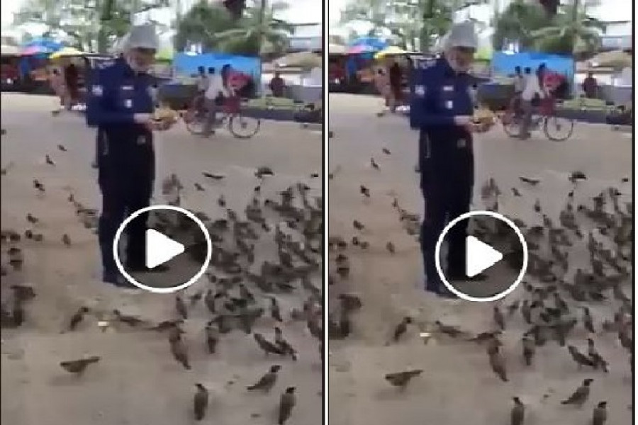 খাবারের জন্য পুলিশকে ঘেরাও পাখিদের!