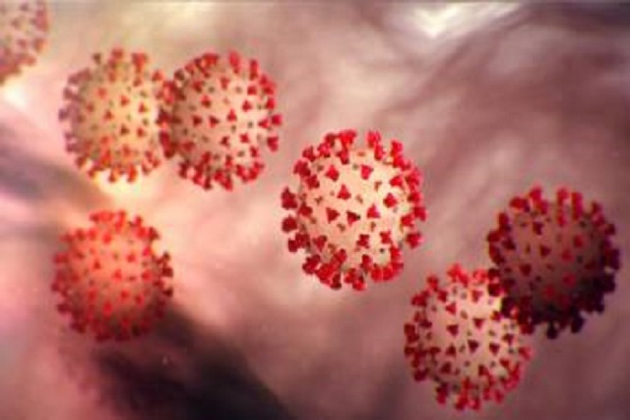 সুস্থ হয়ে বাড়ি ফিরলেন গাজীপুরের করোনা আক্রান্ত ৩৭ জন