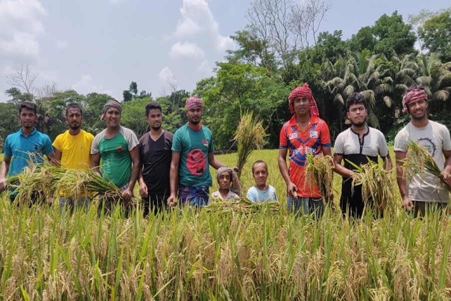 ফরিদগঞ্জে অসহায় কৃষকের ধান কেটে দিল ছাত্রলীগ