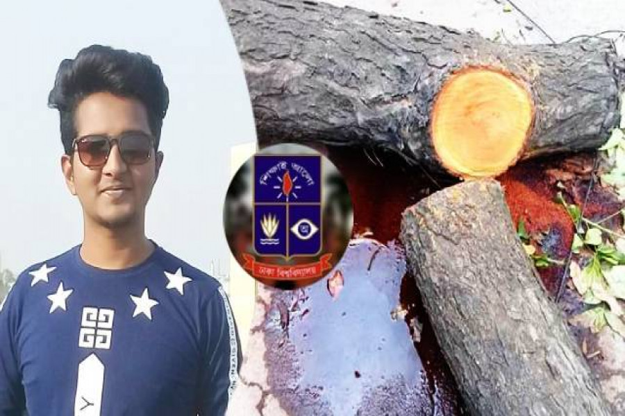 মো. জাফর আলী 